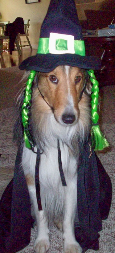Lindywitch