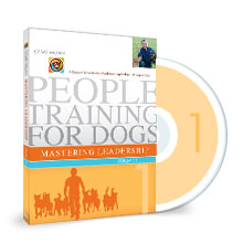 GFK_product_dvd1