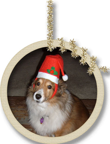 Maggieframed