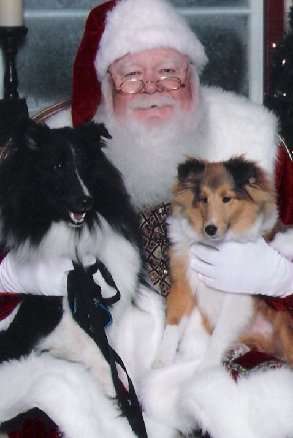 Rookiexmas