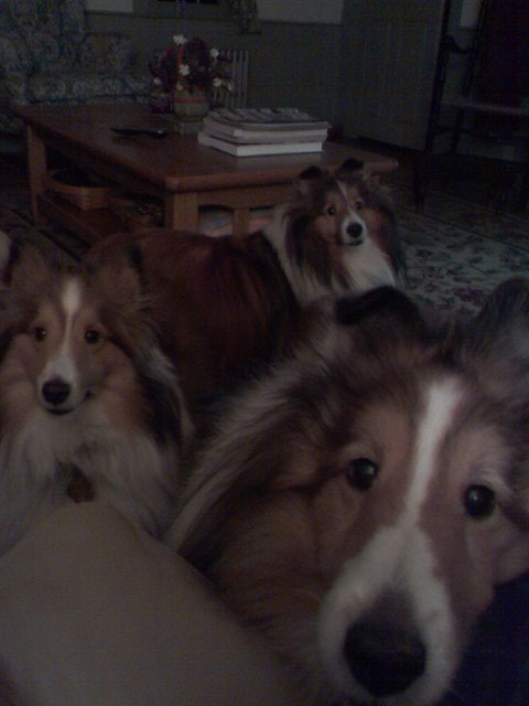 Threets