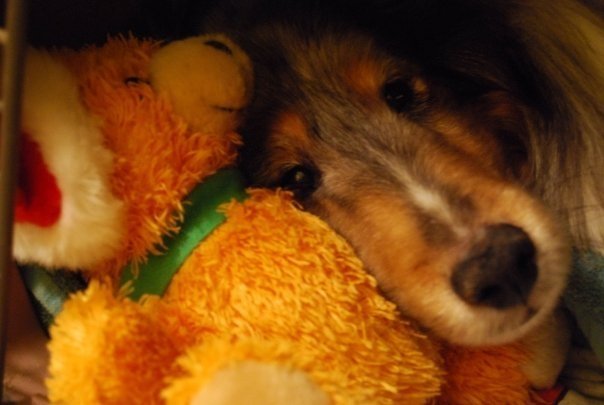 Tuffy2