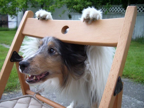Tuffy