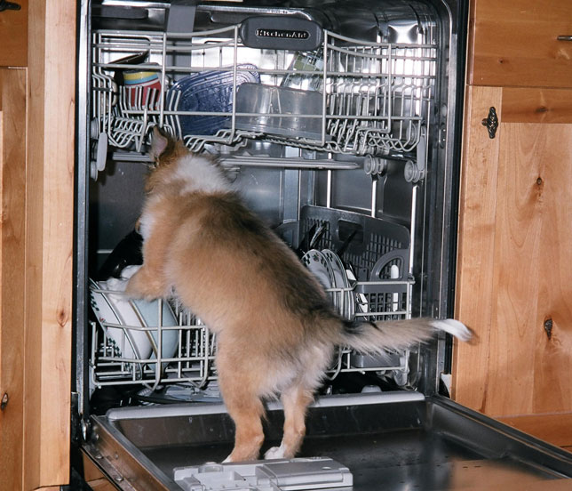 Diswasher