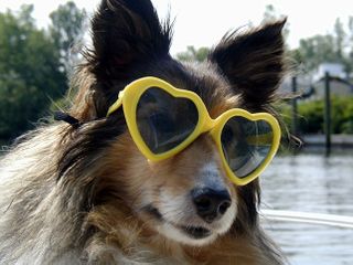 Coco2