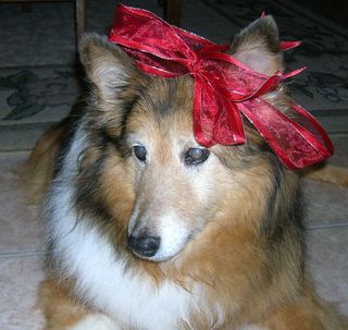 Cody3