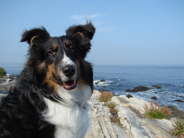 Mylasportrait