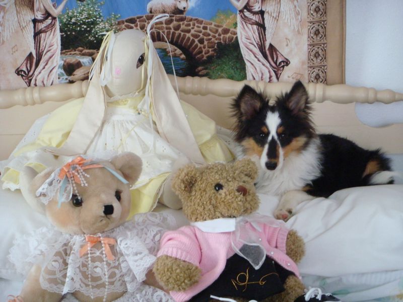 Abby toys