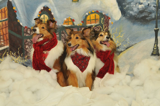 Caroling