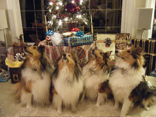 Santayou