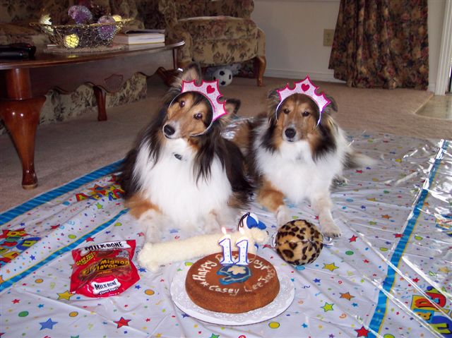 Birthday