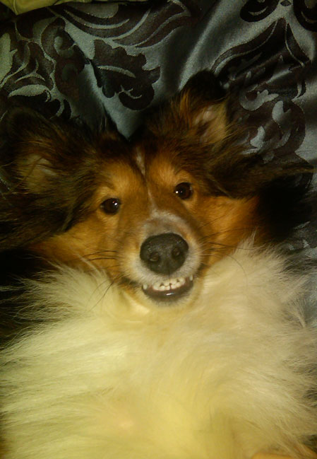 Smile2
