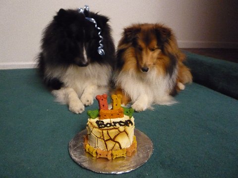 Birthdaycake