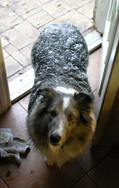 Coby