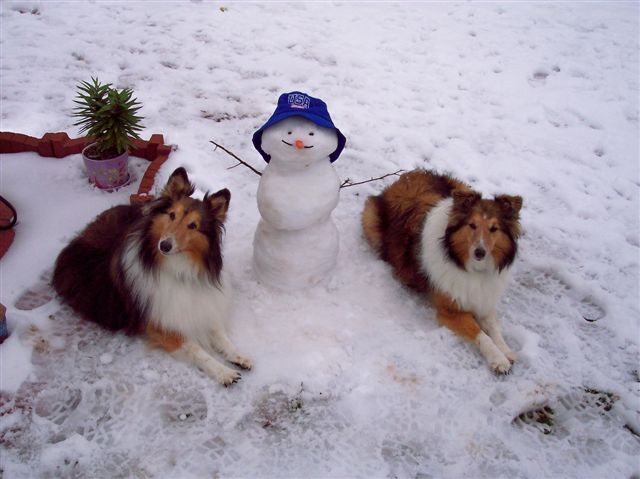 Snowbuddies