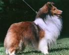 Williethumb