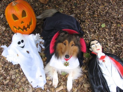 princehalloweeen