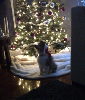 henrysanta