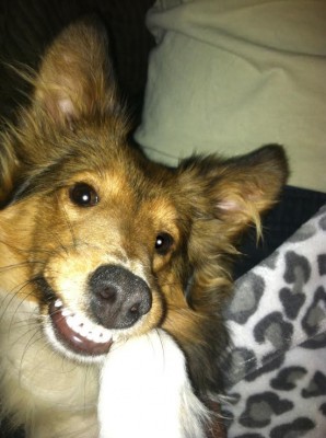 murdocksmile