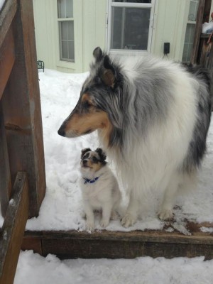 minime