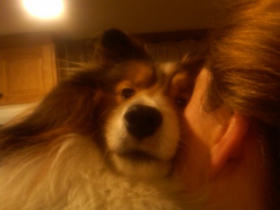 cuddletoby