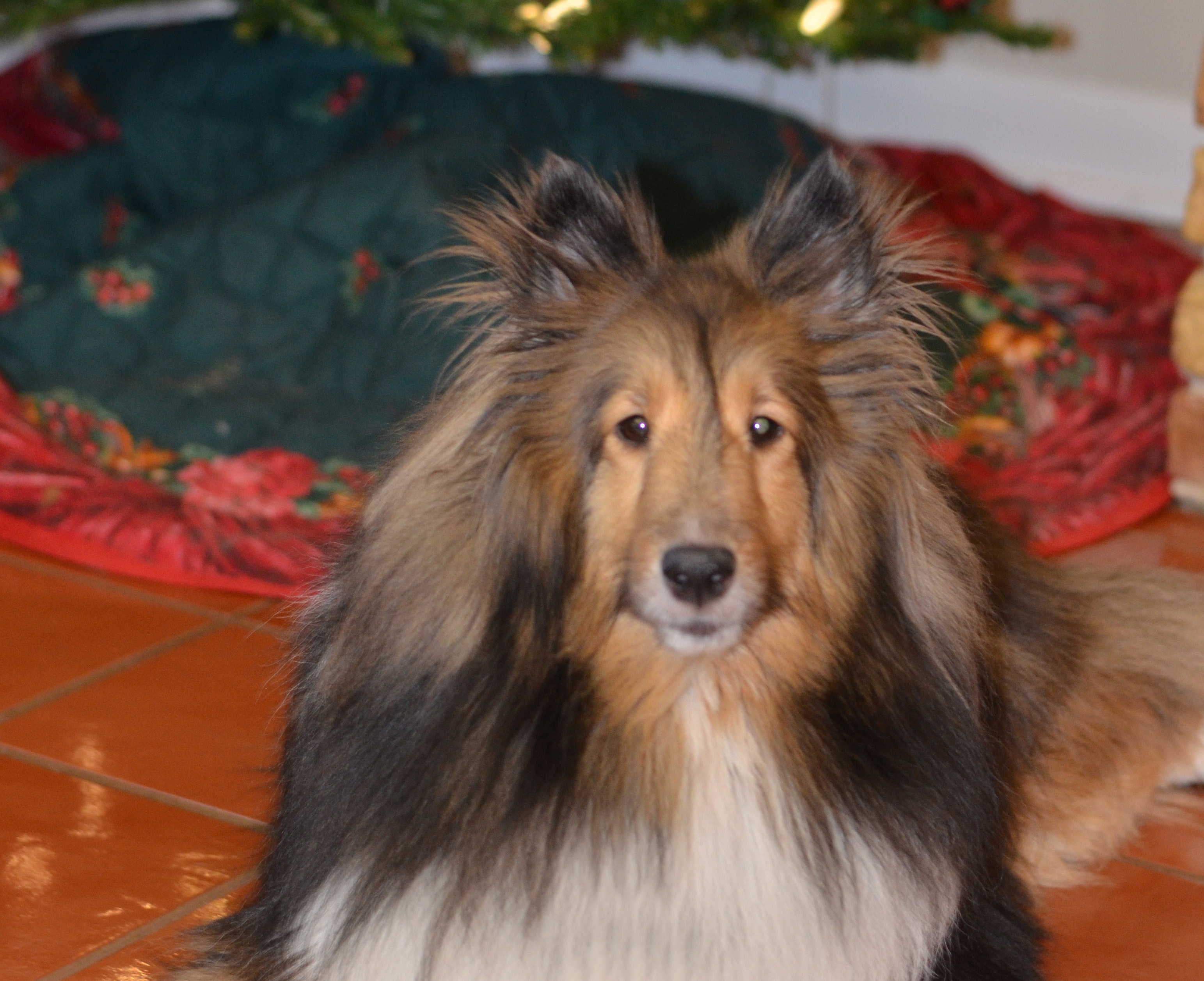 Jake-2013-cropped