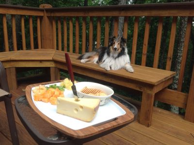 Sheltie on deck