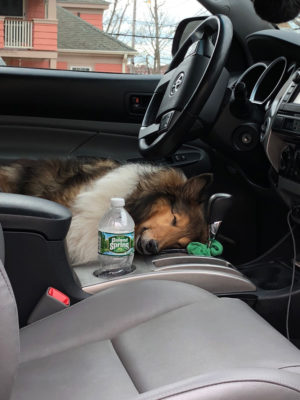 sleeping in front seat
